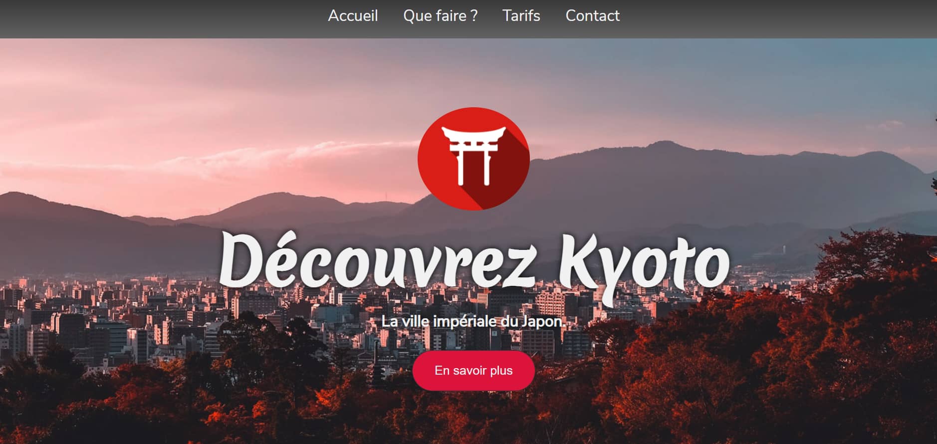 Projet site de la ville de lyon